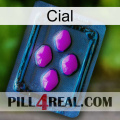 Cial 04